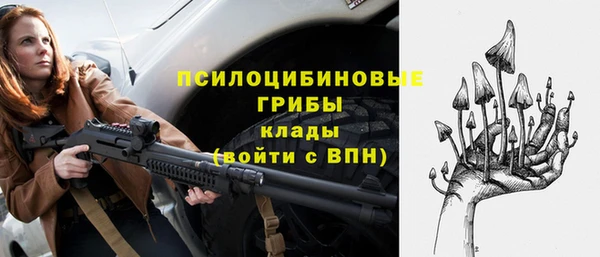 спиды Бородино