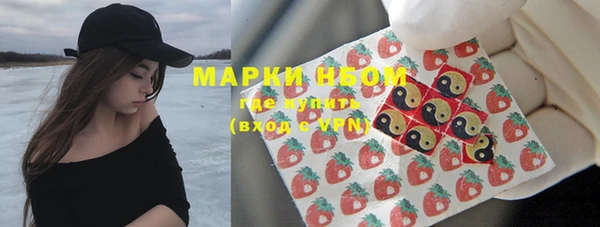 спиды Бородино