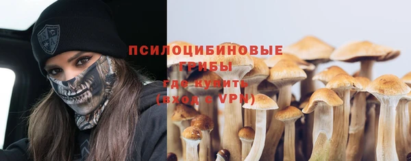 гидропоника Бугульма