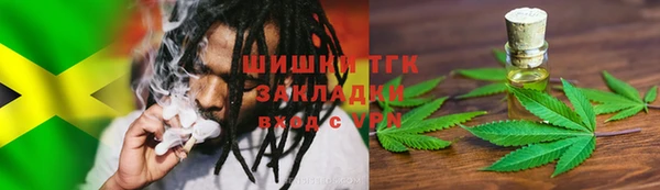 спиды Бородино