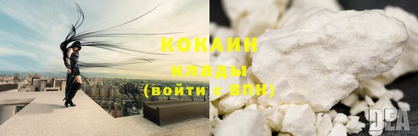 спиды Бородино